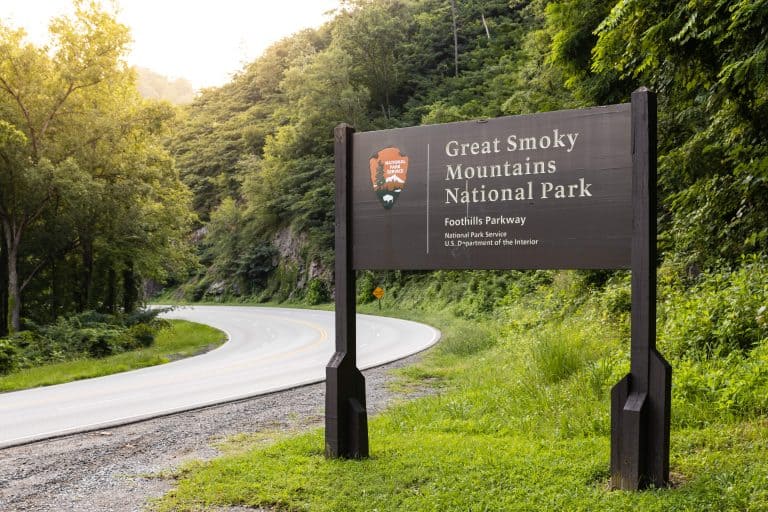 Decoding Great Smoky Mountains Parking Fees and Waivers