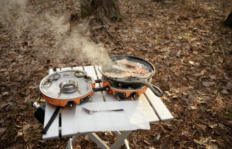Best Camping Griddle 2023: Sizzling Meals in the Great Outdoors